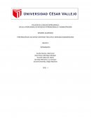 Ensayo Penetración de Tesal Motors en el mercado Sudamericano