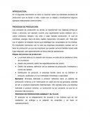 RESUMEN PROCESOS DE PRODUCCION