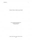 Informe “Análisis de cargos Colfrutik”
