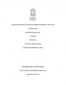 ENSAYO ARGUMENTATIVO DE LOS MODELOS PRINCE2 Y PMI AGIL