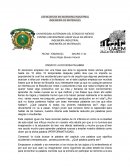 ENSAYO LA DICHOSA PALABRA