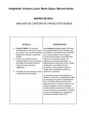 Matriz de BCG Análisis de cartera de productos Rosen