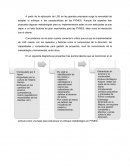 FASES DE METODOLOGÍA LSS
