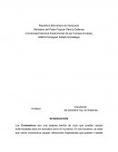 Coronavirus en Venezuela