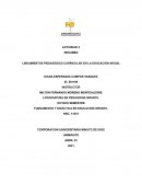 LINEAMIENTOS PEDAGÓGICO CURRICULAR EN LA EDUCACIÓN INICIAL