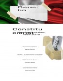 Derechos humanos. Análisis de aplicación de la justicia constitucional.