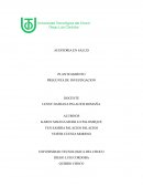 AUDITORIA EN SALUD PLANTEAMIENTO