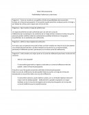 Posibilidades preferencias eleccion microeconomia