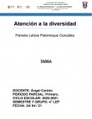 ANALISIS DE VIDEO - RACISMO EN MÉXICO