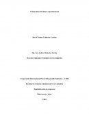 Clima laboral-Cultura organizacional