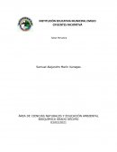 PROPIEDADES DE LA TABLA PERIÓDICA