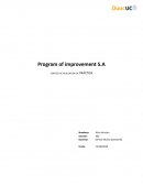 Empresa en practica Program of improvement S.A