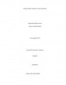 Trabajo analisis financiero Vertice Ingenieria