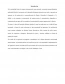 Proyecto de aprovechamiento de desechos de la minería