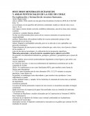 RECURSOS MINERALES OCEANICOS Y AREAS POTENCIALES DE LA ZEE DE CHILE