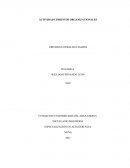 Teoría Organizacional que aplica PBI S.A.S ESP