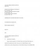 ANALISIS SOBRE SEGMENTACIÓN DE MERCADO