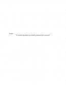 El rol del/la educador/a en el diseño y desarrollo del curriculum