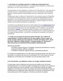 ¿Encontráis en la entidad la atención o el reflejo de la triple bottom line?