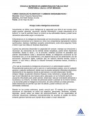 Ensayo sobre inteligencia emocional