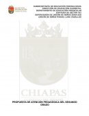 PROPUESTA DE ATENCIÓN PEDAGÓGICA DEL SEGUNDO GRADO