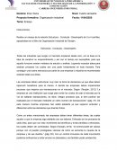 ENSAYO ESTRUCTURA CONDUCTA Y DESEMPEÑO