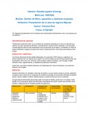 Evidencia: Presentación de un plan de negocio Mipyme