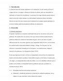 Principales funciones del sistema respiratorio