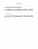 Desarrollo Taller 2 Seguros