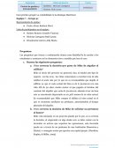 Casó práctico grupal: La contabilidad en las Bodegas MacCloud