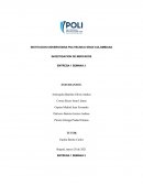 Entrega Final Inv. Mercados