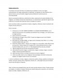 Espacio Curricular de Pintura IV