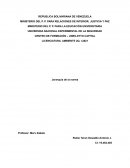 Jerarquía de la norma