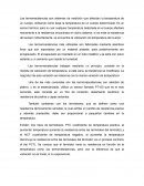 Diferencias entre Korea del sur y Mexico