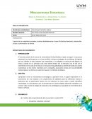 Caso HD (Harley Davidson)