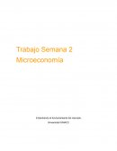 Microeconomía Trabajo Semana 2