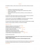 Anatomía cráneo y hueso hioides