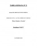 DERECHO CIVIL I: ACTOS JURÍDICOS Y BIENES