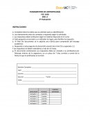 FUNDAMENTOS DE ANTROPOLOGÍA