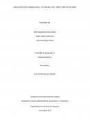 ORGANIZACIÓN EMPRESARIAL: FUNCIONES DEL DIRECTOR FINANCIERO
