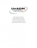 ACTIVIDAD 2 Los servicios y su clasificación