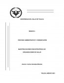 PROCESO ADMINISTRATIVO Y COMUNICACIÓN MAESTRÍA EN DIRECCIÓN ESTRATÉGICA DE ORGANIZACIONES DE SALUD