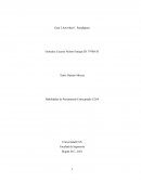 Habilidades de Pensamiento Estructurado C2G4