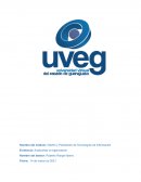 Diseño y Planeación de Tecnologías de Información