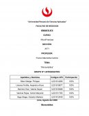 Ensayo n2 “Microcréditos”