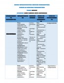 Infraestructura de establecimientos farmacéuticos