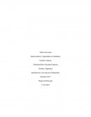 Salud Laboral y Seguridad en la Industria