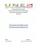 Mapa mental sobre Principios Científicos del Entrenamiento Deportivo