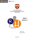 Función educativa de la auditoría de recursos humanos