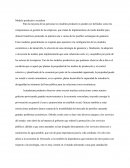 Modelo productivo socialista